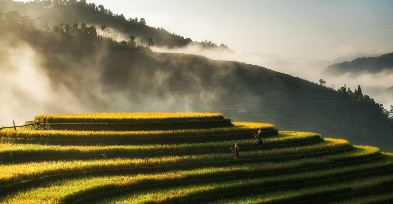 7N/8D Exquisite Vietnam Tour
